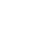 AutoNova Compatible vehicles icon white
